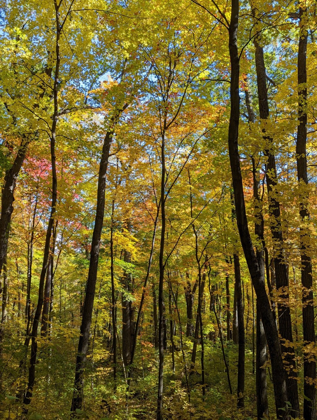 Played a fun game of twister last&nbsp;Wednesday.