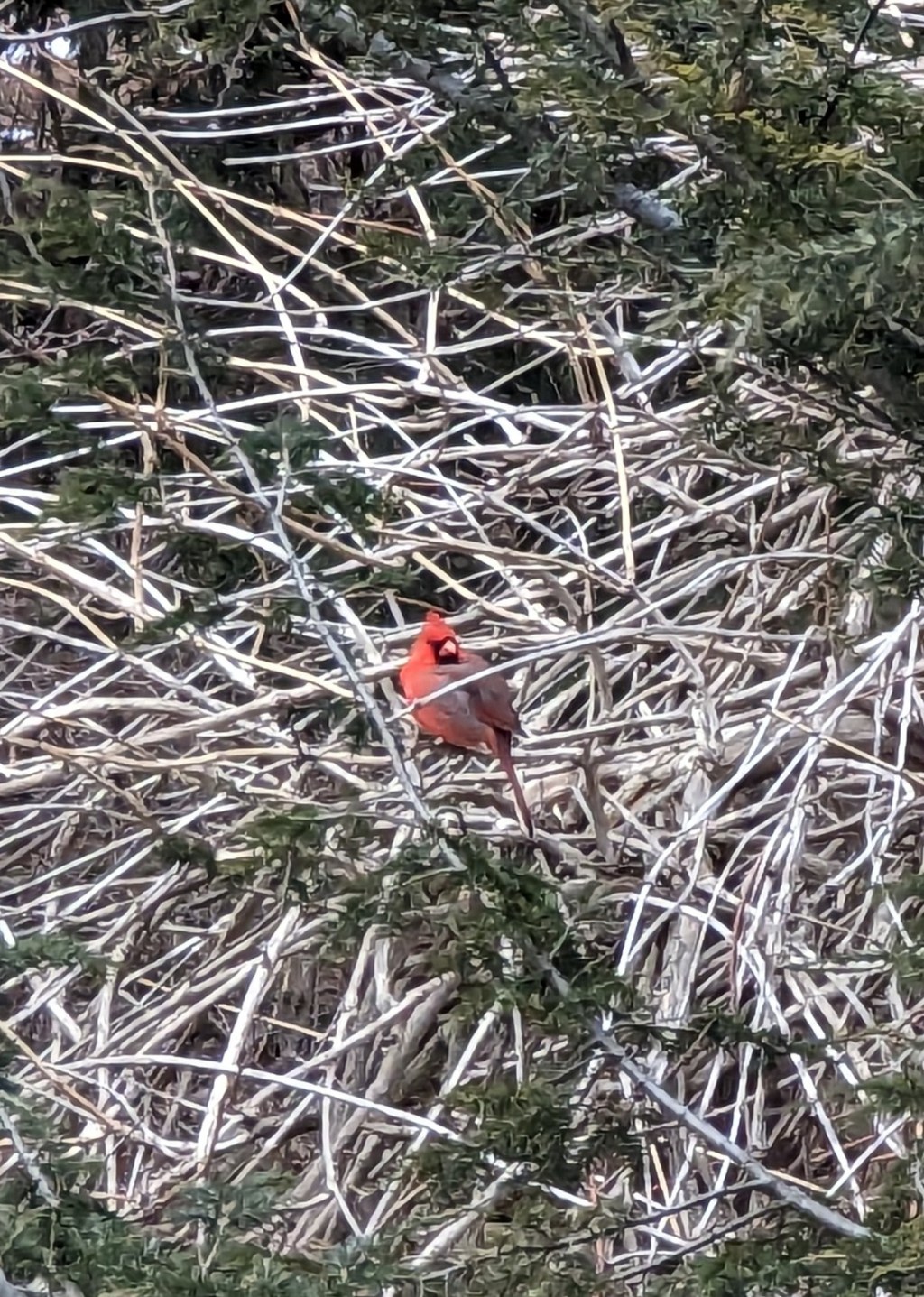 This place is for the&nbsp;birds.