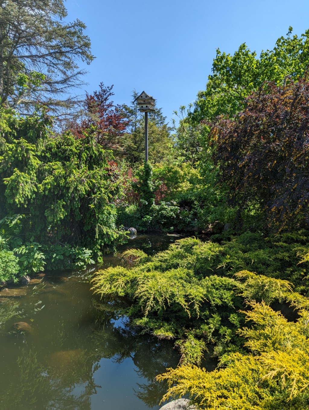 Gimme All the&nbsp;DEETs!