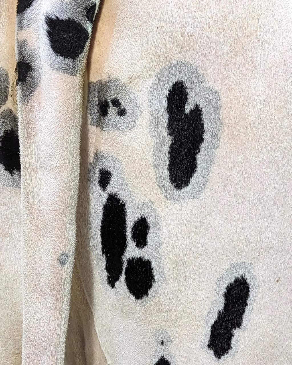 When I walk the streets kings and queens step&nbsp;aside.