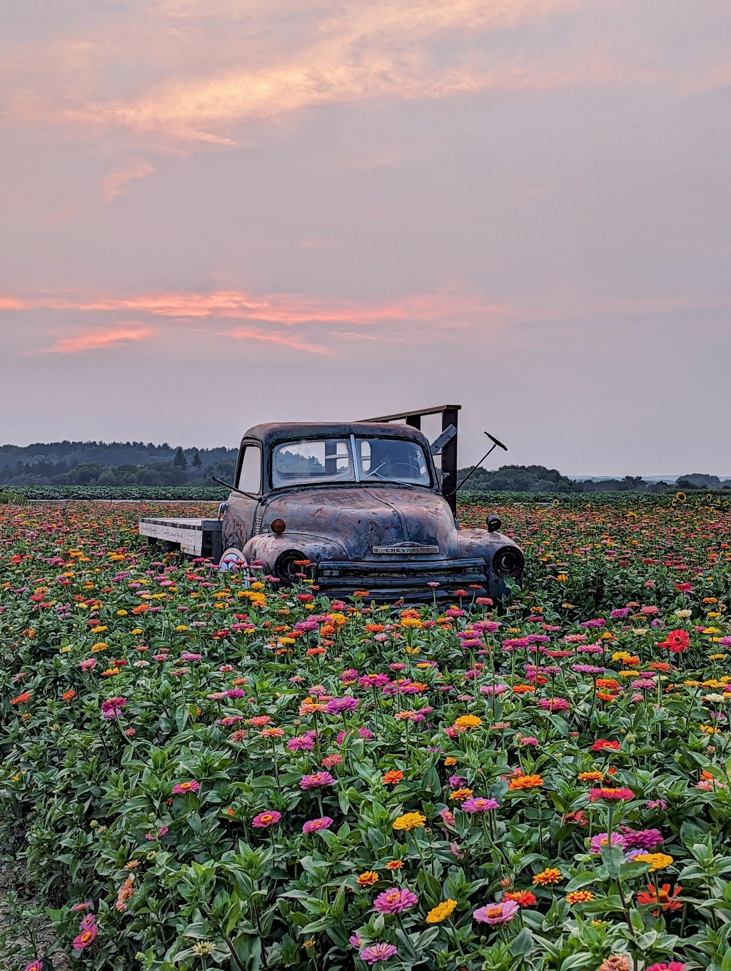 Death ridges, dangling salt, and zinnias for&nbsp;miles.