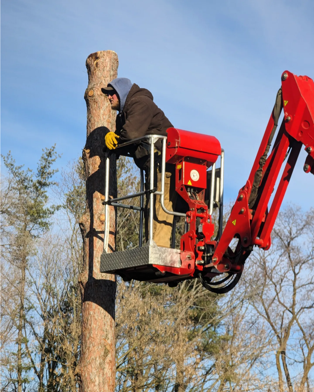 Heckling the tree&nbsp;cutter.