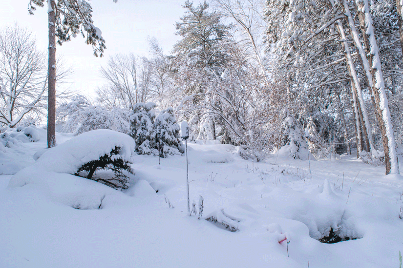 Dear Folks: This gal named Gerri stopped&nbsp;by…