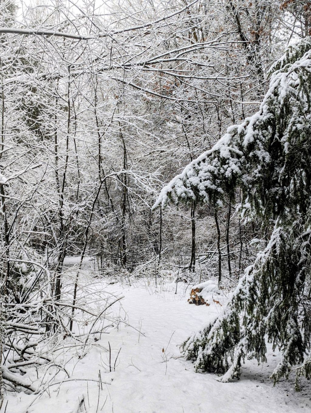 All that hype and nothing to write home&nbsp;about.