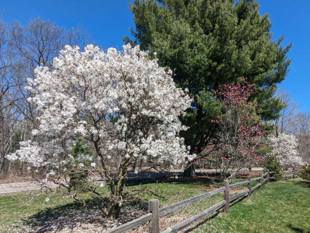 We finally got a piece of the&nbsp;pie.