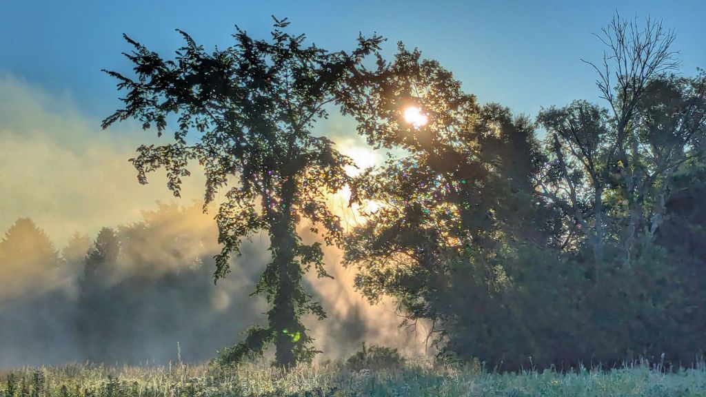 Thursday holidays are&nbsp;weird.