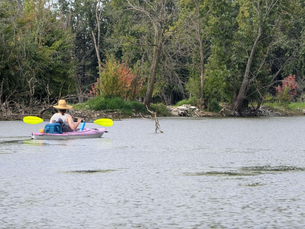 If you build it, they won’t&nbsp;come.