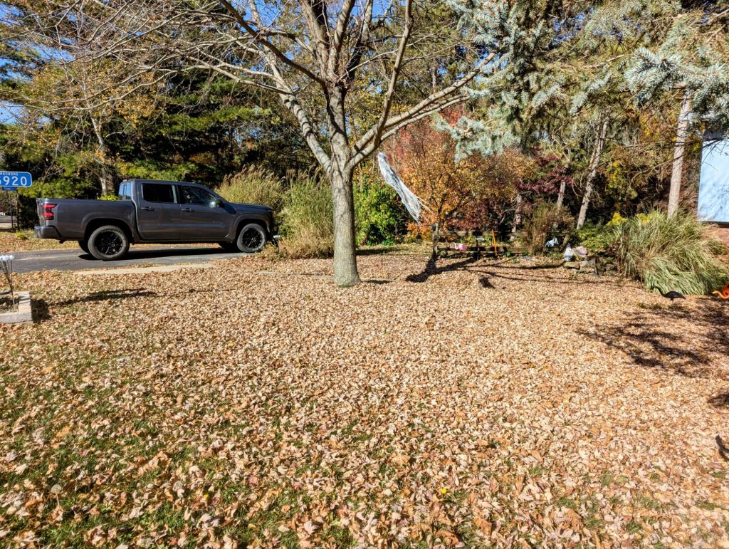 Give me liberty or give me&nbsp;life.