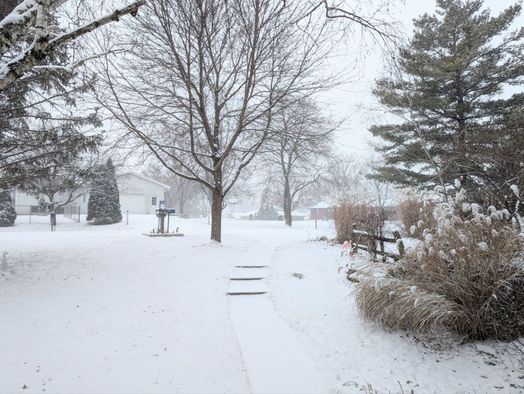 Extra crispy cookie aside, I’m&nbsp;surviving.