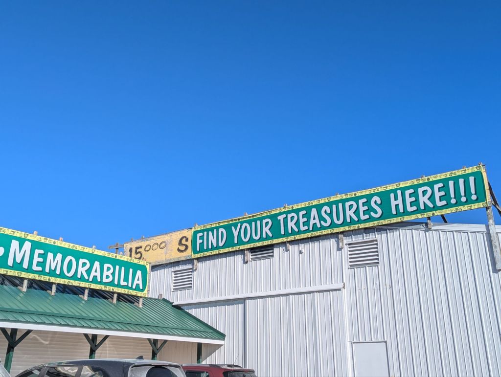 The beetle burned without&nbsp;us.