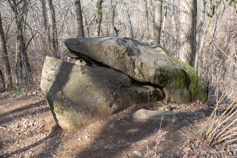 You’re stoned if you think that’s an&nbsp;elephant.