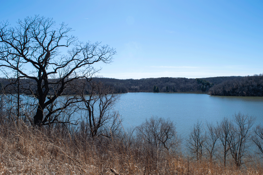 No geysers, no&nbsp;bison.