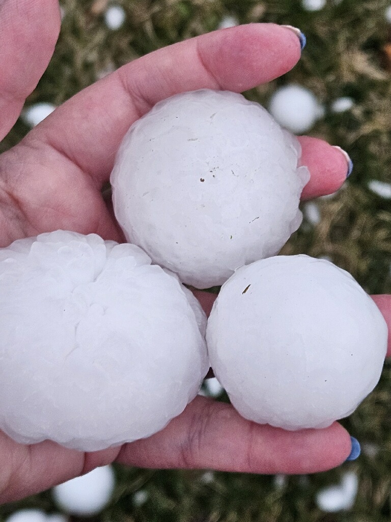 Not my hand, not my&nbsp;hail.