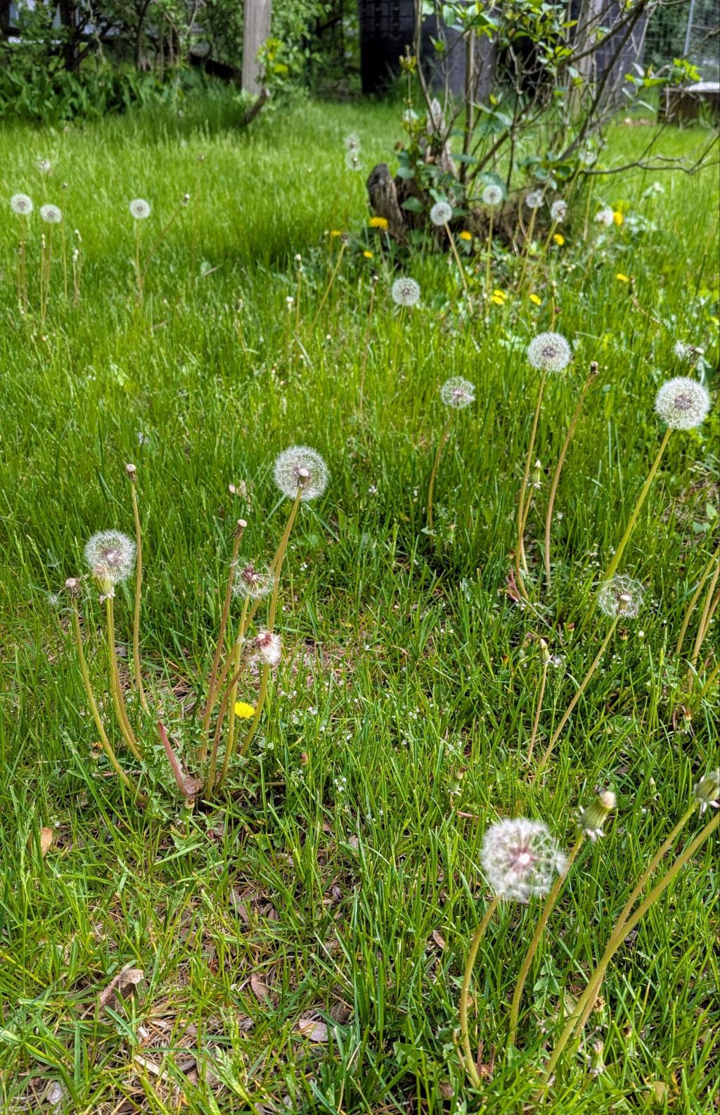 Sisyphus was an&nbsp;idiot.