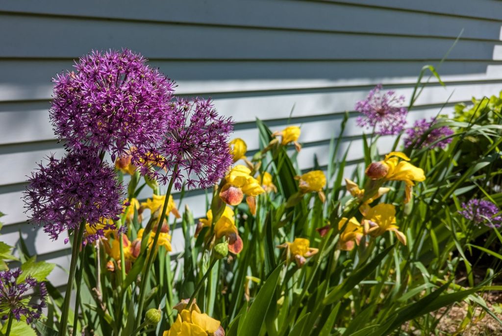 “Roughing it” sounds too&nbsp;rough.