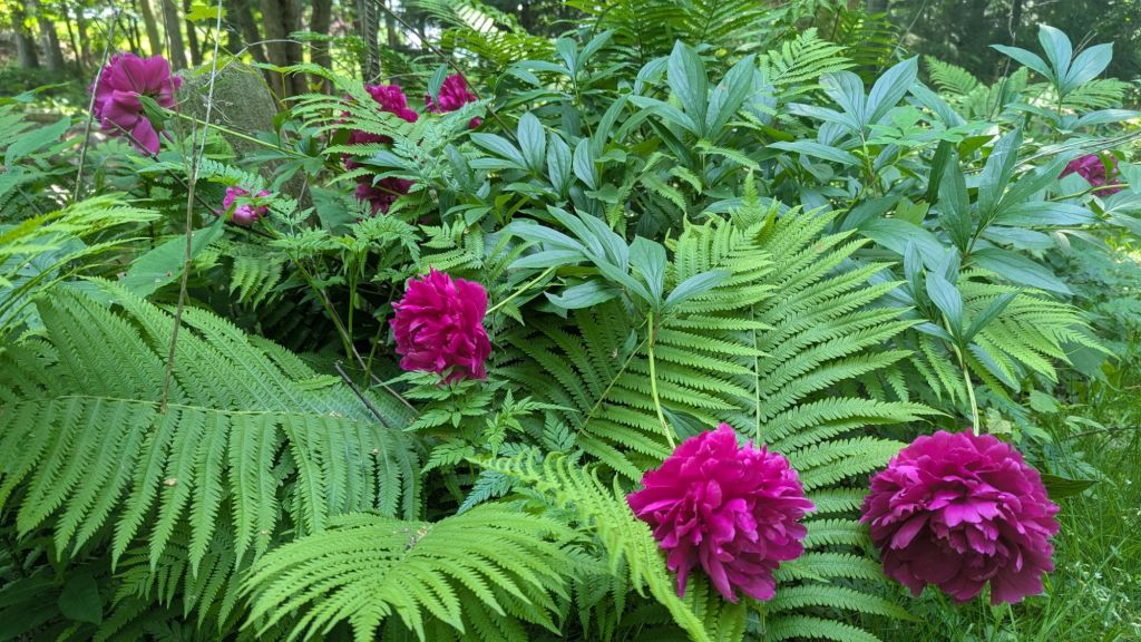 Pretend it’s Kauai, with&nbsp;cheese.