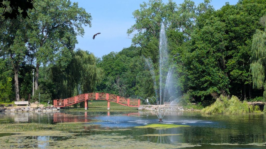 Romanticizing the back&nbsp;forty.