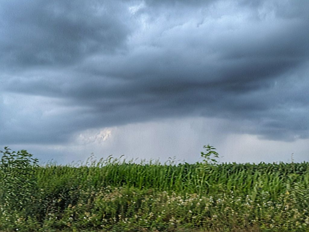 The word of the day is “torrential.”