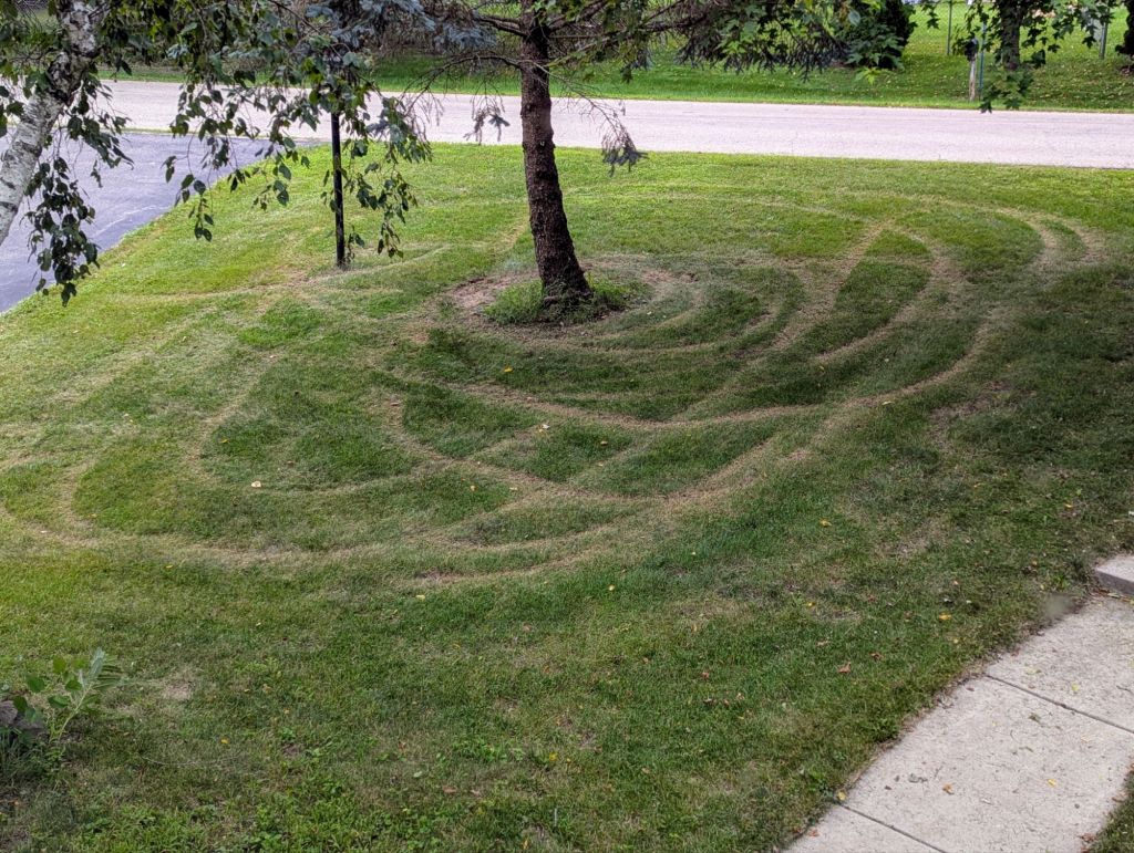 Donuts in the&nbsp;yard.
