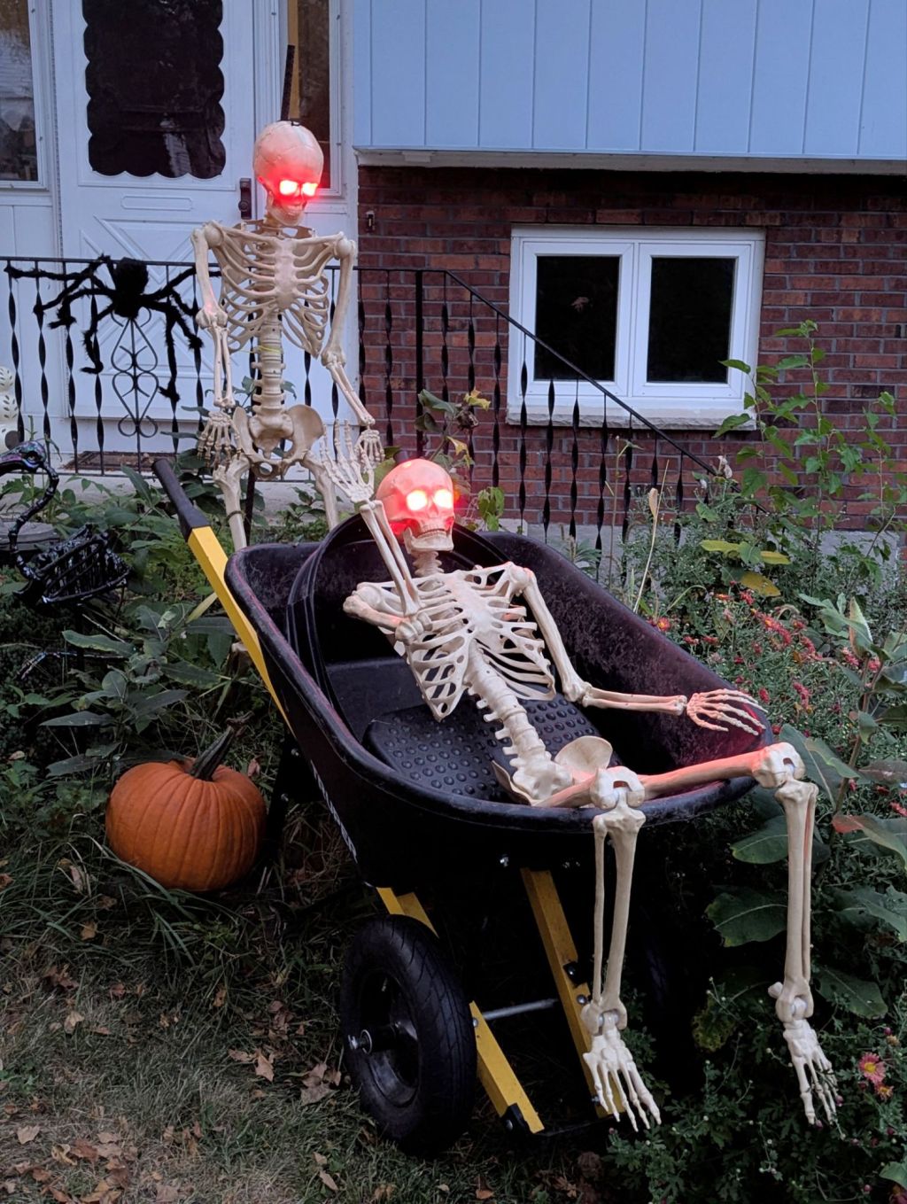 Keeping up with the&nbsp;Boneses.