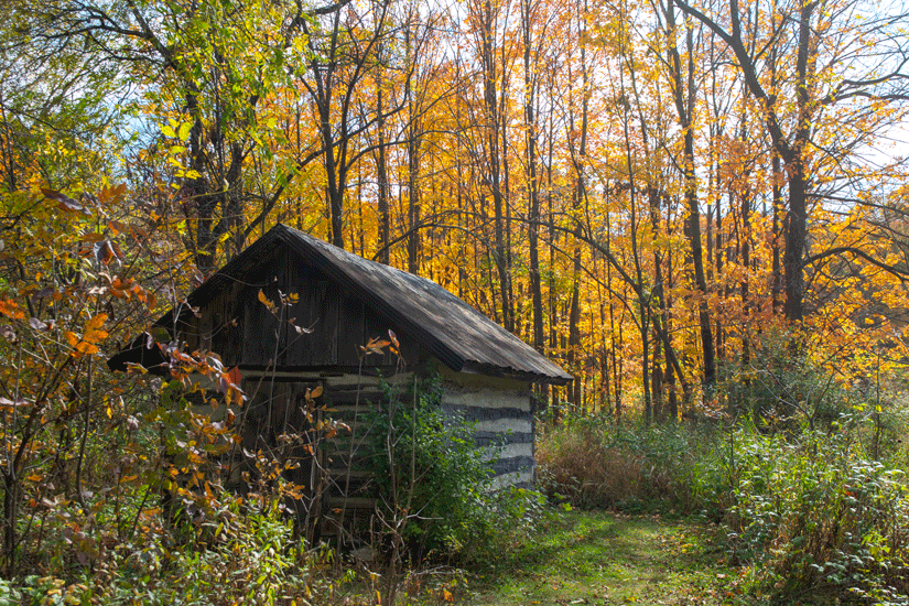 Two West Coast Elites walk into a&nbsp;bar…