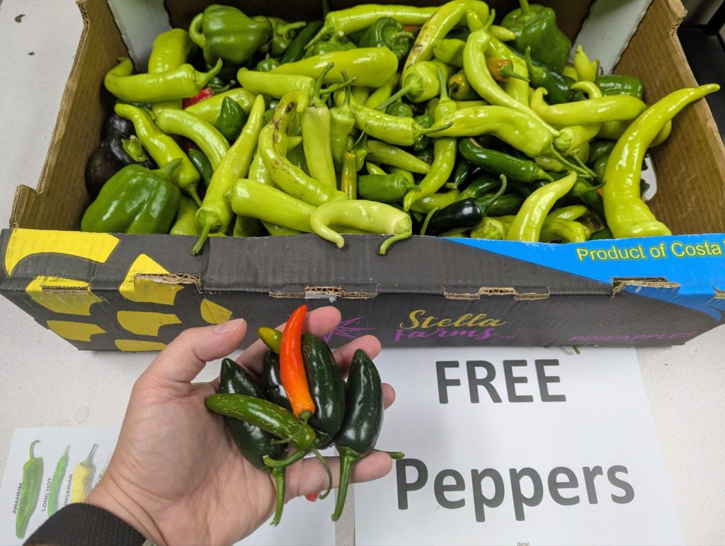 I guess that Peter Piper fella works in&nbsp;accounting.