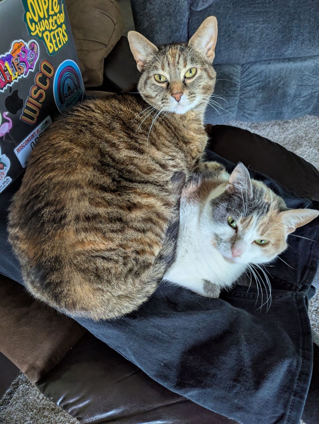 I can eat a blood orange like a&nbsp;champ!