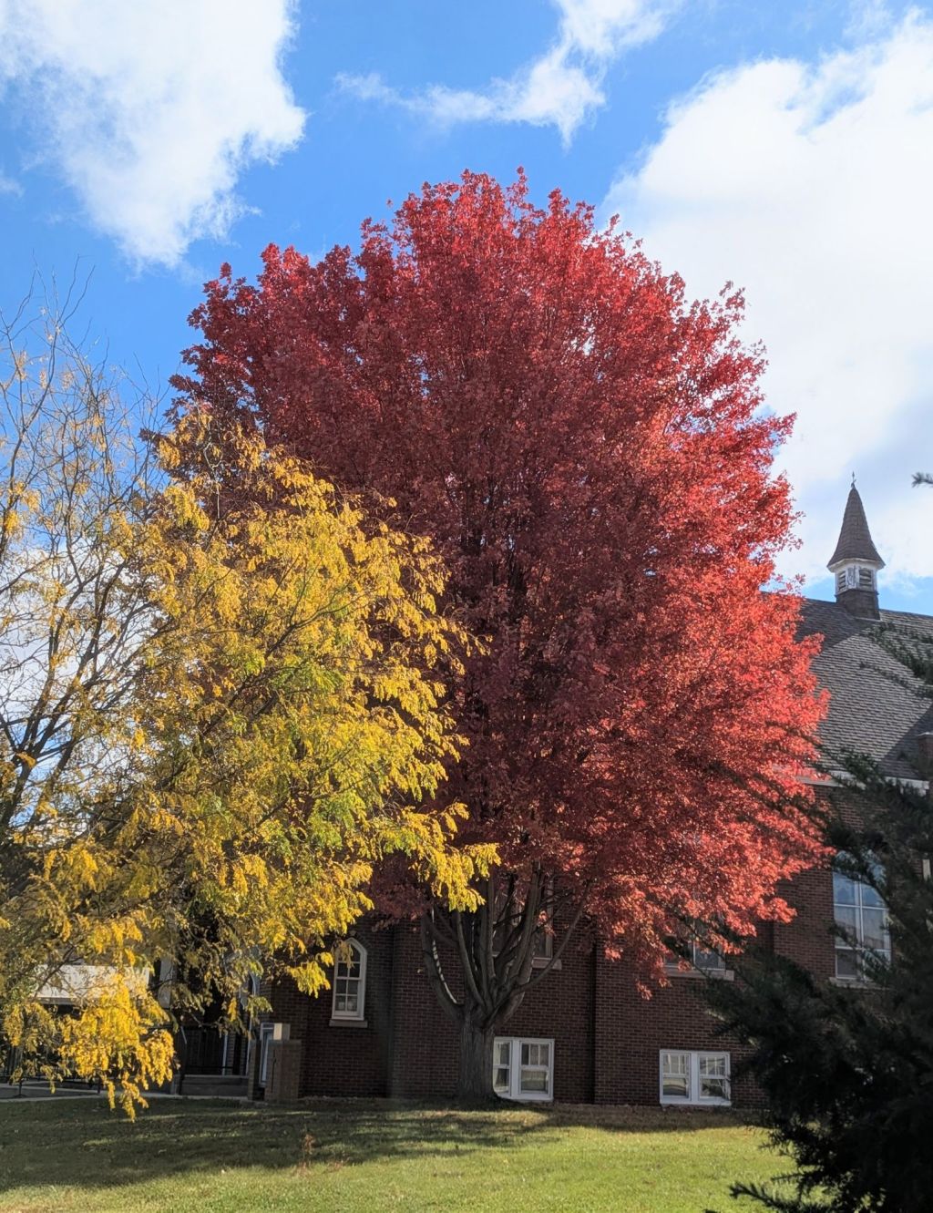 Green Bay ain’t exactly “exotic.”