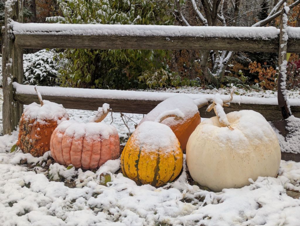 Or am I a page in your history&nbsp;book?