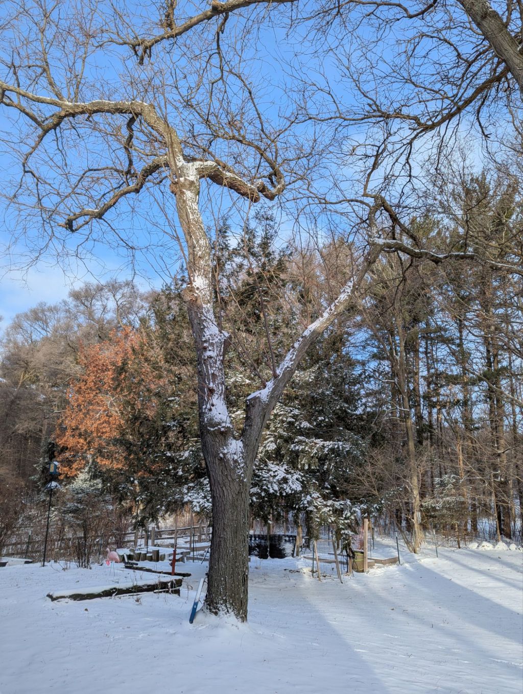 I don’t know what day it is with eggnog in the&nbsp;fridge.
