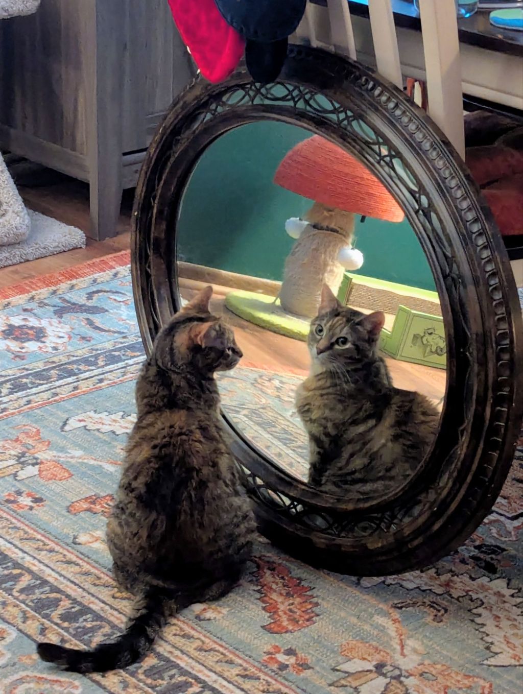 Mirror, mirror, on the&nbsp;floor…