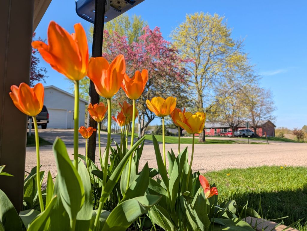 You’ll know you can always go on Ricki&nbsp;Lake