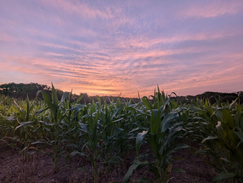 Am I a corny Midwesterner or&nbsp;what?