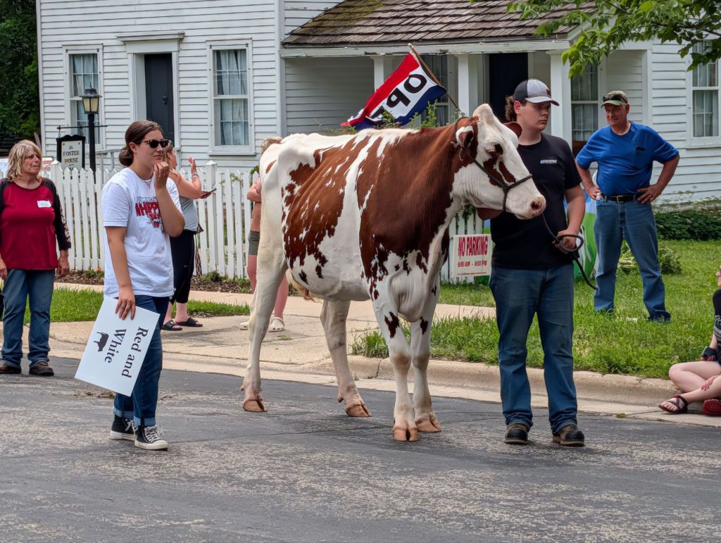 Here comes the cow-valry.