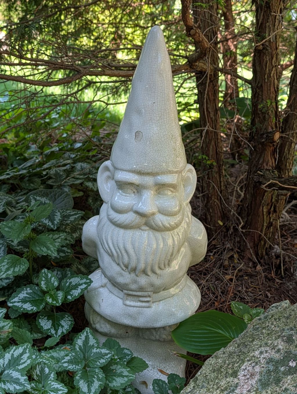 Gnome, gnome of the&nbsp;strange.
